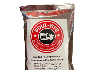 Alimentation Poul-vite pintade